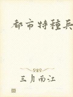 都市特种兵任天