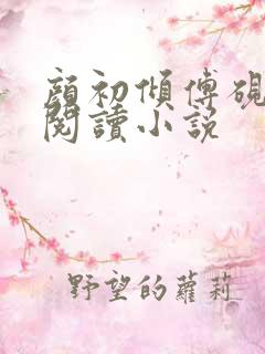 颜初倾傅砚免费阅读小说