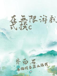 在无限游戏里花式挨c