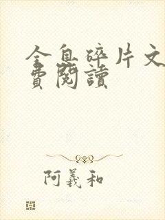 全息碎片文轩免费阅读