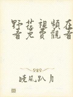 野花视频在线观看免费观看最新章节