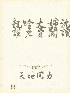 龙吟大婶沈浩小说免费阅读笔趣阁