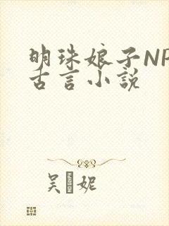 明珠娘子NPC古言小说