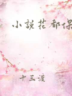 小说花都保镖