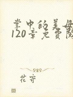 掌中的美母版主120章免费阅读