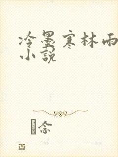 冷墨寒林雨彤的小说