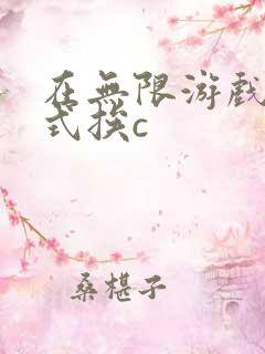 在无限游戏里花式挨c