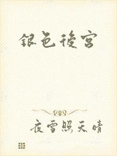 银色后宫