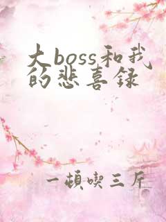 大boss和我的悲喜录