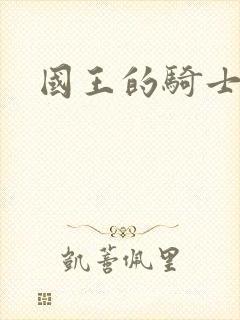 国王的骑士