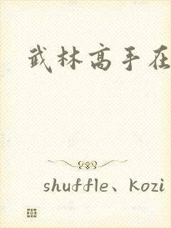 武林高手在异界