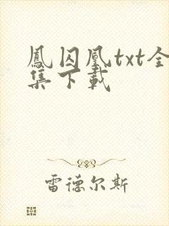 凤囚凰txt全集下载