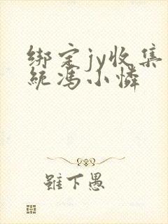 绑定jy收集系统冯小怜