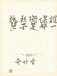 魏熙珊保护萧峥儿子是哪一集