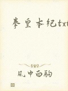 拳皇本纪txt