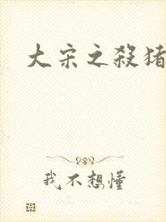 大宋之杀猪状元