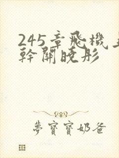 245章飞机上干关晓彤