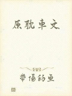原耽车文