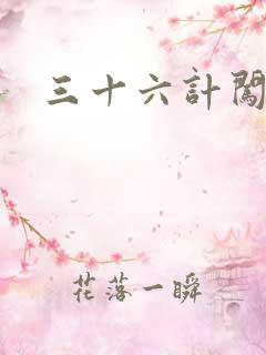 三十六计闯官场