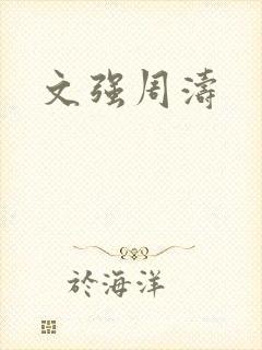 文强周涛