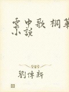 云中歌 桐华 小说