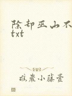 除却巫山不是云txt