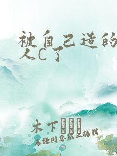 被自己造的机器人C了