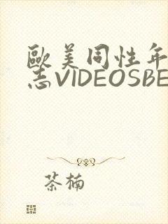 欧美同性年轻同志VIDEOSBEST