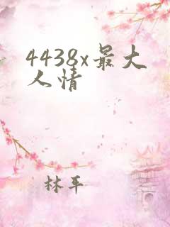 4438x最大人情