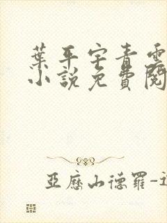 叶平宇青云直上小说免费阅读