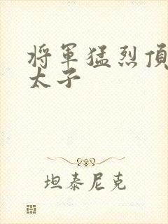 将军猛烈顶弄h太子