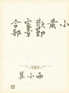 合家欢黄小梅全部章节