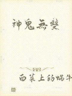神鬼无双
