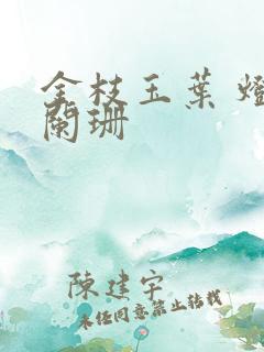 金枝玉叶 灯火阑珊