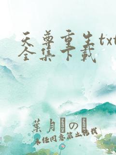 天尊重生txt全集下载