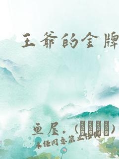 王爷的金牌暗卫