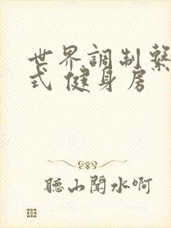 世界调制系统模式 健身房