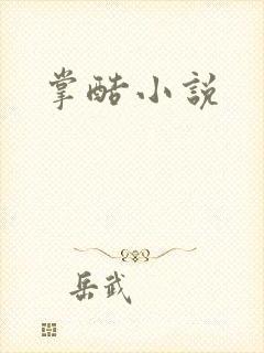 掌酷小说