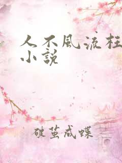 人不风流枉少年小说