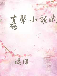 有声小说藏地密码