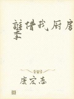 谁借我厨房第二季