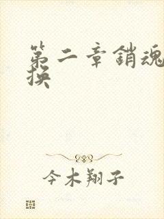 第二章销魂的交换