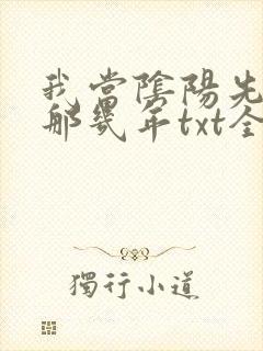 我当阴阳先生的那几年txt全集下载