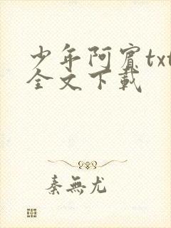 少年阿宾txt全文下载