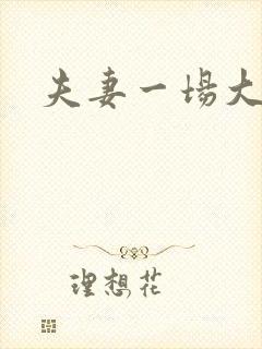 夫妻一场大结局