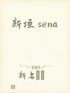 新垣 sena