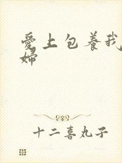 爱上包养我的情妇