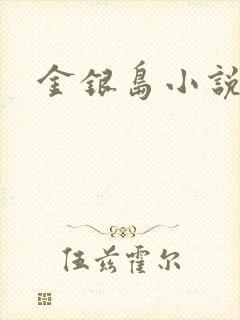 金银岛小说
