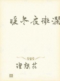 暖冬夜微澜