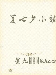 夏七夕小说